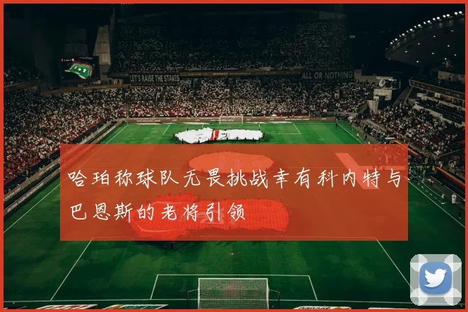 哈珀称球队无畏挑战幸有科内特与巴恩斯的老将引领